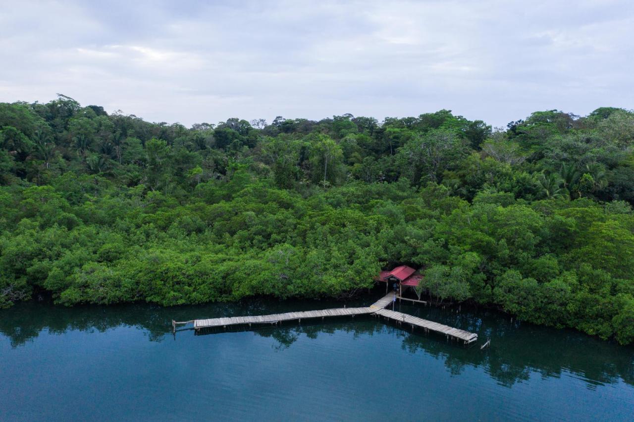 Palmar Beach Lodge Bocas del Toro Exteriör bild