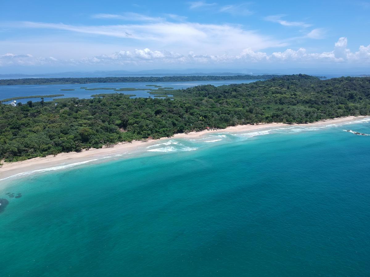 Palmar Beach Lodge Bocas del Toro Exteriör bild